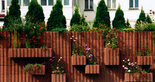 svahovky Rasterflor - okrasný múr a spevnenie svahu v záhrade, aj rozkvitnutá stena